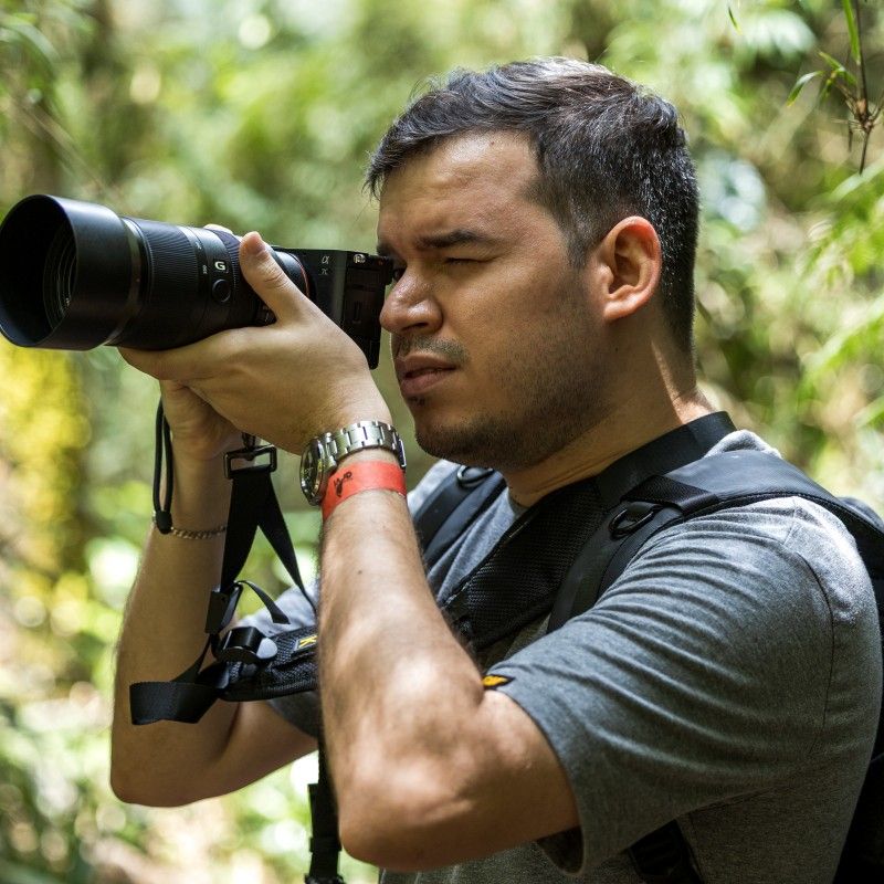 Jesús Gulfo in a forest, photographing something off frame